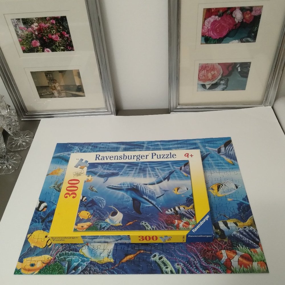 Ravensburger Dolphin World Jigsaw Puzzle